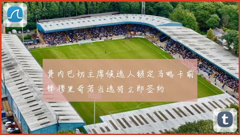 费内巴切主席候选人锁定马略卡前锋穆里奇若当选将立即签约