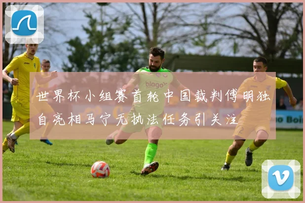 世界杯小组赛首轮中国裁判傅明独自亮相马宁无执法任务引关注